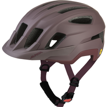 Alpina PARANUS MIPS raisin matt