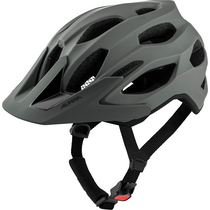 Alpina CARAPAX 2.0 coffee-grey matt
