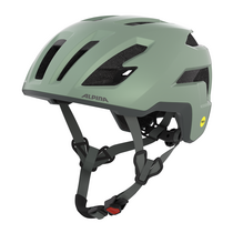 Alpina TAUNUS GRAVEL MIPS willow-green matt | 55-59