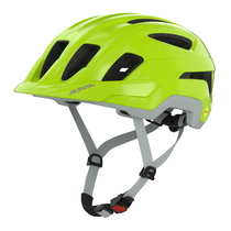 Alpina PARANUS MIPS be-visible grey matt